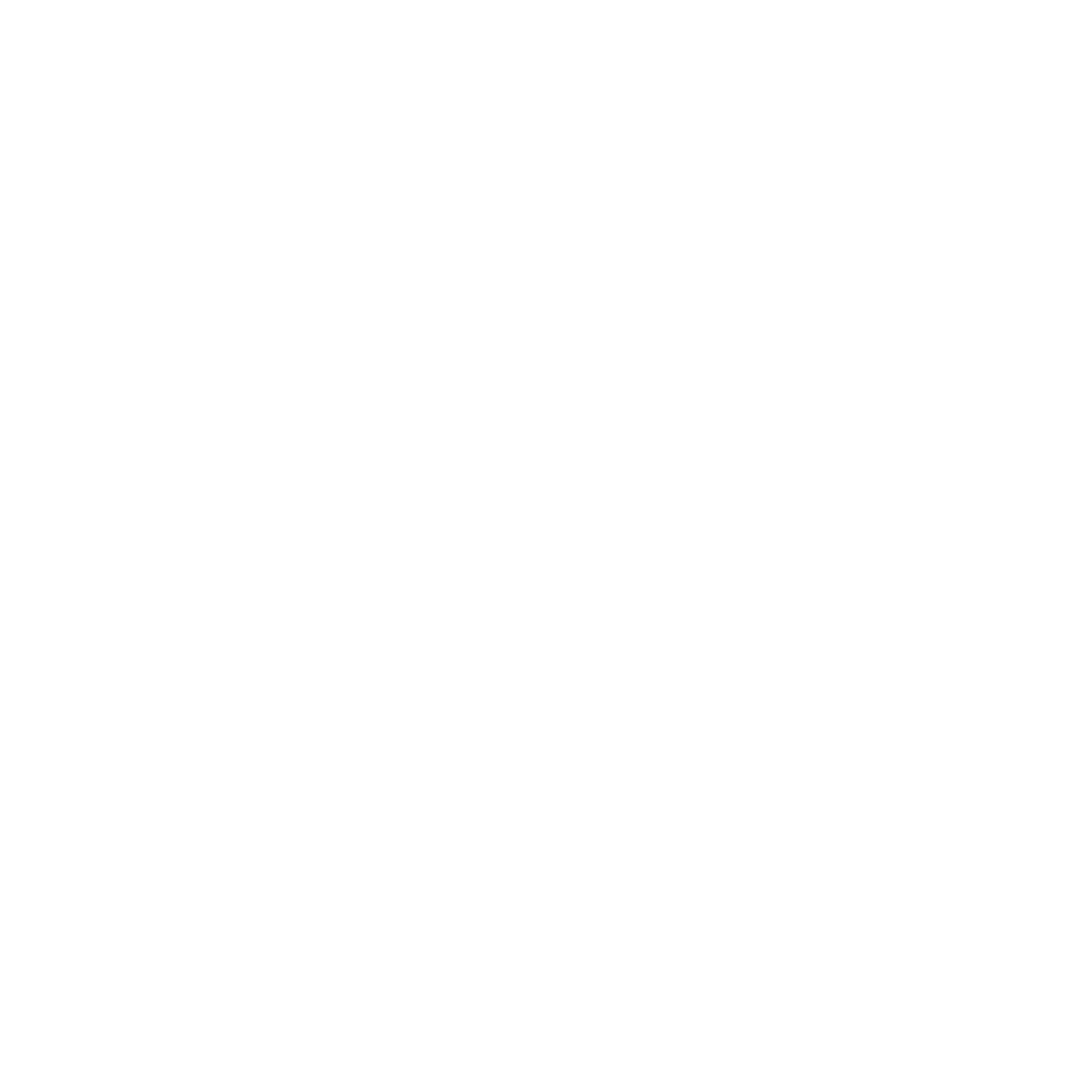 Africa Fashion International